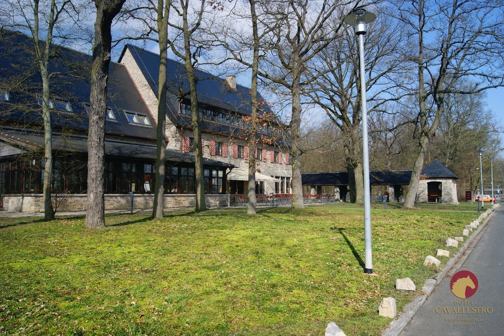 Cavallestro Classic Kitzingen Exteriér fotografie