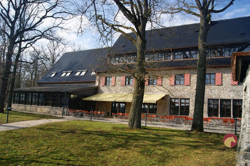 Cavallestro Classic Kitzingen Exteriér fotografie